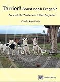 fox terrier züchter bayern  Terrier! Sonst noch Fragen?: So wird Ihr Terrier ein toller Begleiter