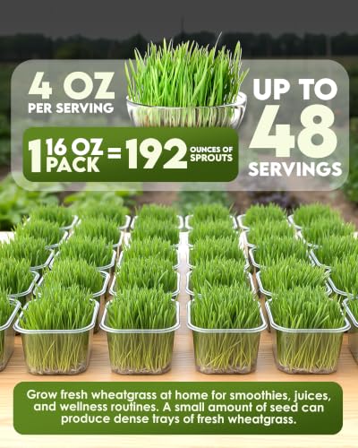 Image of Nature Jim's Sprouts - Organic Wheat Grass Sprouting Seeds - Non-GMO - 16oz