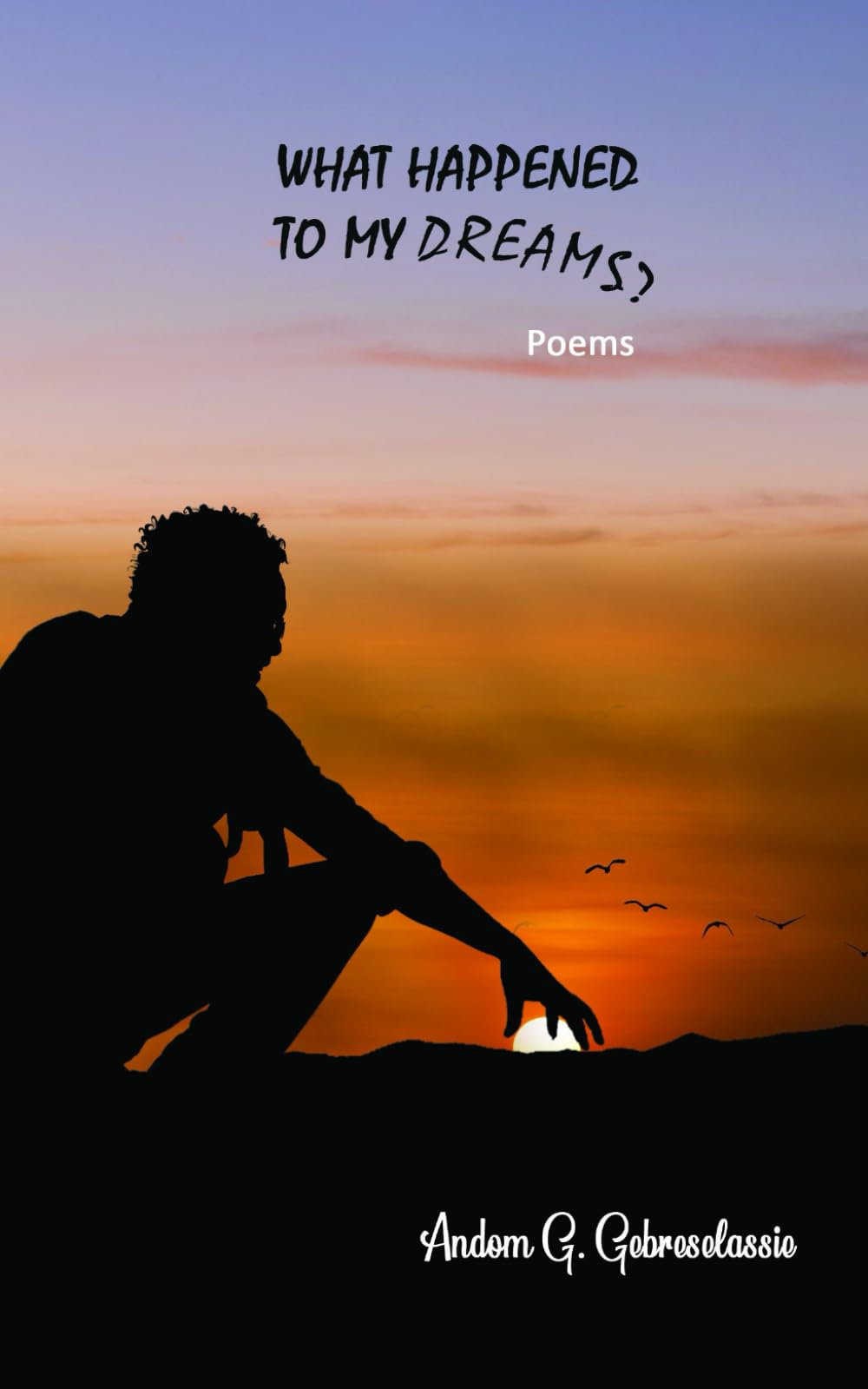 What Happened To My Dreams?: Poems