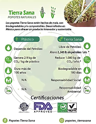 Contenedores, Sports Imagen adicional