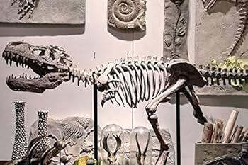 恐竜骨格フィギュア 楽天市場】恐竜骨格ﾌｨｷﾞｭｱ12体入り 様々な種類 恐竜骨格 違いが