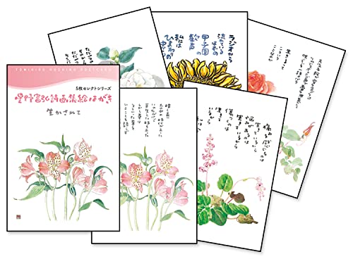 能の世界-随筆と素描集★コレクター商品★能 英樹★書込み無し 能の世界-随筆と素描集☆コレクター商品☆能 英樹☆書込み無し