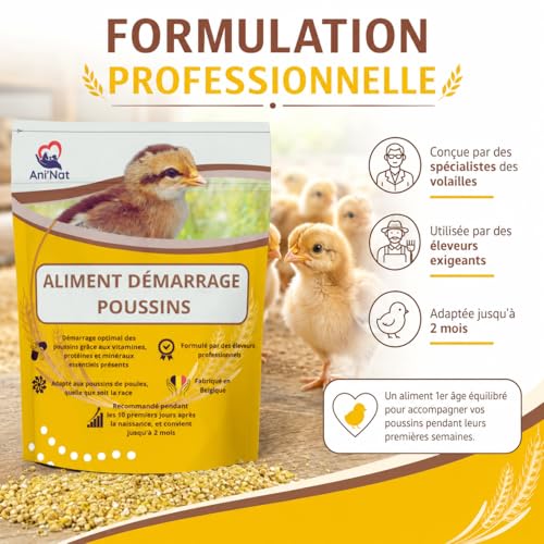 Vignette produit