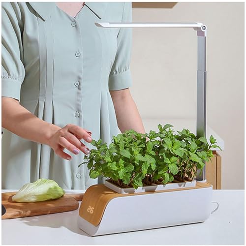Kit Hidroponico, Luz Cultivo Interior 16 Horas De Trabajo + 8 Horas De SueñO, Smart Garden Interior, Para Plantas De Interior, Flores, Invernaderos