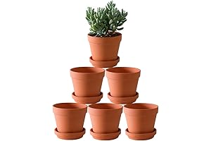 6-Pack Large Terra Cotta Pots with Saucer