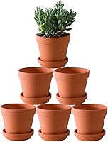 Yishang 6-Pack 5.5 Inch Terracotta Clay Pots with Saucers - Drainage Hole for Succulents, Cactus, Herbs, Flowers - Porous Plant Planters