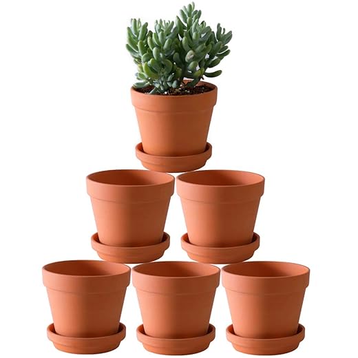 Terra Cotta Pots with Saucer- 6-Pack Large Clay Pots 5.5'' Ceramic Pottery Planter Cactus Flower Succulent Pot with Drainage Hole- Great for Plants,Crafts terra cotta planter