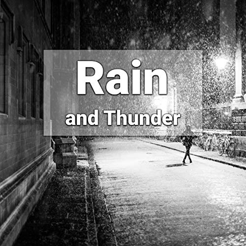 Top 10 Best Umbrella For Heavy Rain Reviews & Buying Guide Katynel