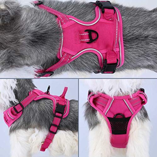 Pettom Pettorina Cane Imbracatura Durevole