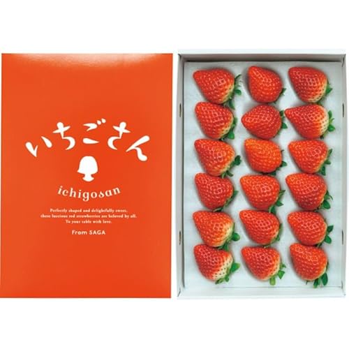 2025NΕʊ ꌧY iSOOj