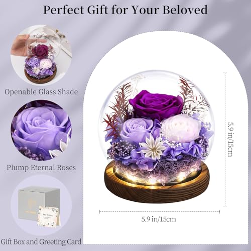 Emibele Mother's Day Eternal Rose Gifts for Mom, Preserved Real Rose in Glass Dome with LED Light for Decoration, Flowers for Delivery Prime, Gifts for Women Wife Her on Birthday Anniversary, Purple - Afbeelding 4