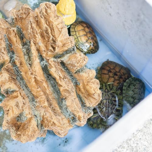 Plataforma de bronceado para tortugas y refugio de resina para hábitat 7
