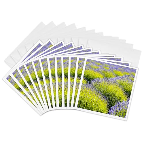 Cartes de vœux 15,2 cm lavande de Port Angeles pour invitations de mariage