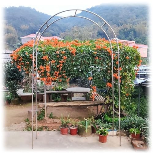 Arco de jardín de acero inoxidable para soporte de rosales y frutas 8