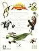 Imagen de Kung Fu Panda