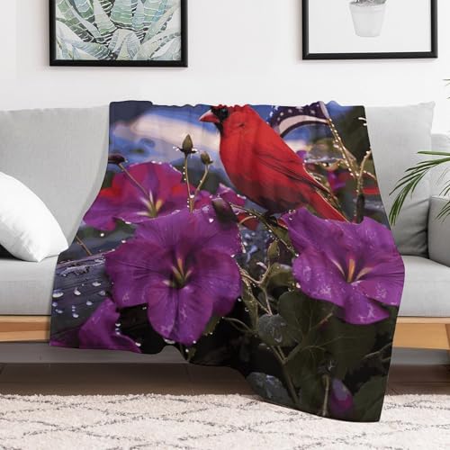 Couverture microfibre de luxe violette : douceur et élégance pour lit - 7