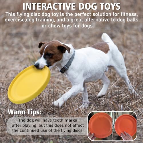 Dog-Flying-Disc-Durable-Rubber-Flying-Disc-Dog-Toy-925-Indestructible-Rubber-Dog-Flying-Discs-Flyer-Dog-Toys-Puncture-Resistant-Bite-Resistant-Extremely-for-Medium-Large-Dogs - Cucciolini Doodles   Dog-Flying-Disc-Durable-Rubber-Flying-Disc-Dog-Toy-925-Indestructible-Rubber-Dog-Flying-Discs-Flyer-Dog-Toys-Puncture-Resistant-Bite-Resistant-Extremely-for-Medium-Large-Dogs