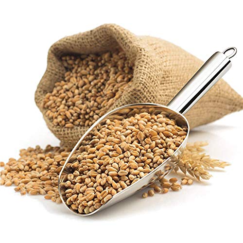 2 Pezzo Paletta per Ghiaccio,Pala Ghiaccio in