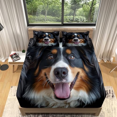 Sábana Bajera 160x200x30cm Animal Perro de MontañA de Berna Ajustable Sábana Bajera - Alta Comodidad Tacto Suave Set Sábanas Multicolor Sábana Bajera Microfibra para Niñas y Niños