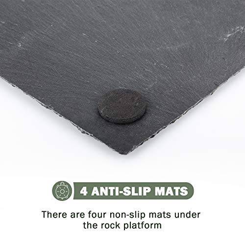 image for dojobkinb 11.8