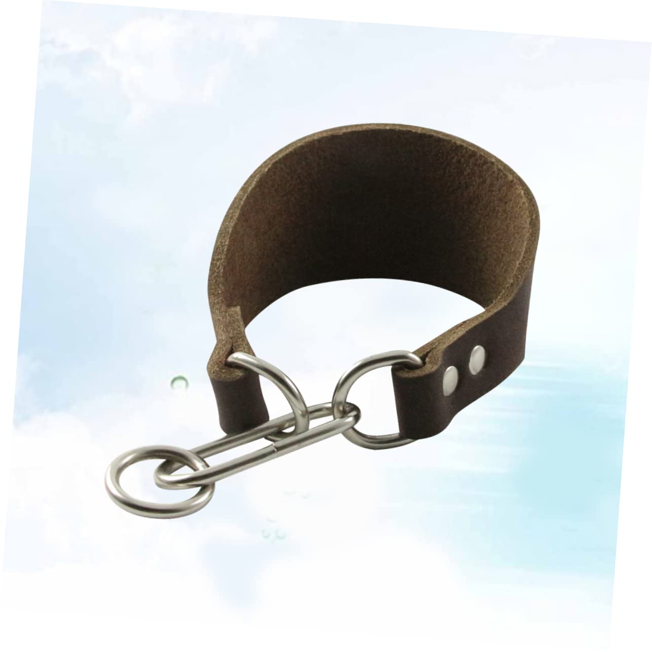 Housoutil 3pezzi Collare Per Cani Di Cattlehide Colore Caffè Design Per Protezione Del Collo Resistente e Stile Per Cani Con Collo Sottile