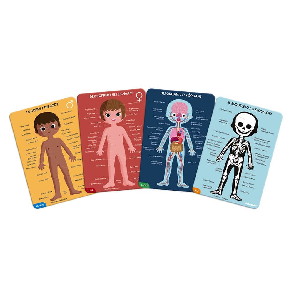 Janod - Juego de 4 Puzzles Gigantes sobre el Cuerpo Humano - 50, 75 y 100 Piezas - Tarjetas educativas en 12 Idiomas - Descubrimiento del Cuerpo Humano - A Partir de 5 años, J02681