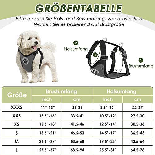 Eyein Hundegeschirr mit Sicherheitsgurt für Auto, 2 Karabinerhaken - verbunden mit Sicherheitsgurt-Schnalle, Kinder-Sicherheitssitz oder Trunk, verstellbare atmungsaktiv Geschirr (Grau, S)