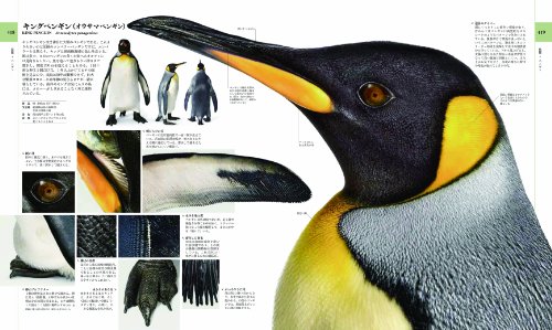 21年最新版 動物図鑑の人気おすすめランキング10選 大人向けも セレクト Gooランキング