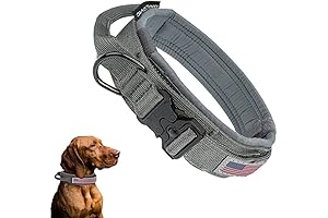 Tactical Dog Collar with Velcro: Your Dog's New Rugged Companion