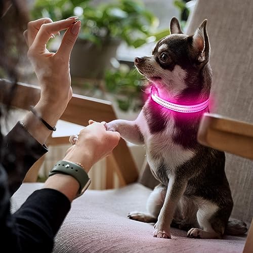 Wiederaufladbares LED-Welpenhalsband, YFbrite LED-Katzenhalsband, Bequem Leuchtende Welpenhalsbänder, Verstellbares Reflektierendes Welpen-Gehlichthalsband für Sicherheit (Rosa, XS)
