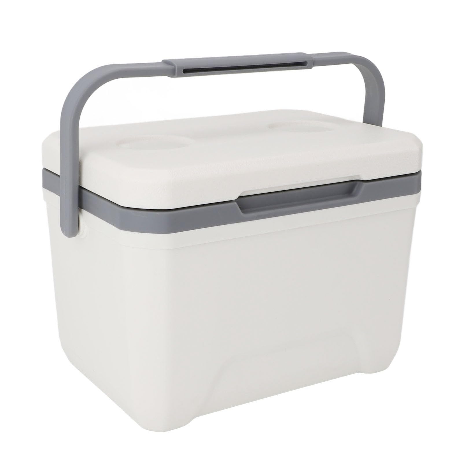 Glacière Isotherme Camping 6L Ou 9L - Portable, Avec 4 Blocs Réfrigérants, Pour Pique-nique, Barbecue