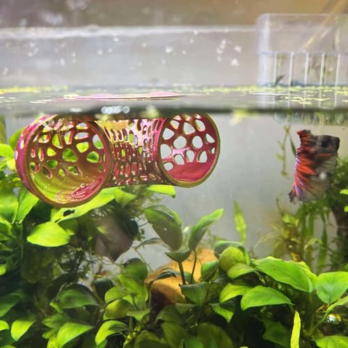 Image of Floating Betta Tunnel for Betta Training. Interactive Training & Enrichment Toy for Betta Fish - Stress Relief & Exercise Accessory, Floating Betta Fish Toys