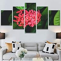 SIGNWIN 5 Panel Canvas Wall Art Flora Snapshot for Home Decorations Ready to Hang - 60
