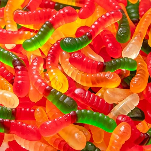Gummy Worms | 1 Pound Bag | Gummy Candy in Assorted Fruit Flavors | Fun Chewy Candy for Snacking, Buffets, Dessert Toppings, and Party Favors | Colorful Gummies
