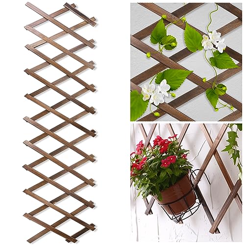 Wood Lattice Fence Panels for Outside 134×788 Expandable Natural Wooden Wall Trellis Board Decorative Lattice Trellis Frame for Climbing Plants Vine Ivy Rose Outdoor Balcony Garden 2 Pcs