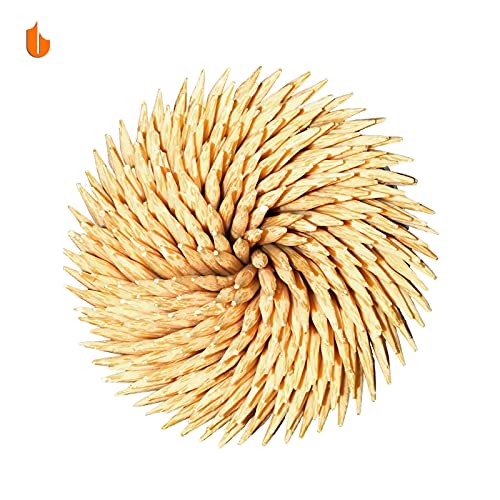 image for Urbanstrive Sturdy Safe Toothpick Holder with 800 Natural Wood Toothpi