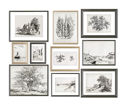 Vintage Sketch White Neutral Wall Decor - Set Of 10 Gallery Art Prints // Etching Home Decor Paintings // Farmhouse Bathroom Living Room Pictures // Black And White Wall Decor (11X14 , 9X12 , 8X10 , 5X7 ) A10_1_St16 #TOP28