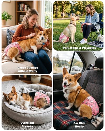 Image of CuteBone Dog Diapers Female Washable Small Medium Large 3 Pack Reusable Doggie Diapers Puppy Period Pants for Doggy Heat Cycle Peeing