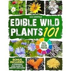 Edible Wild Plants 101 Audiolibro Por Sam Grinfield arte de portada