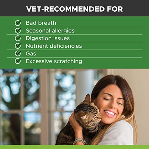 Pet Honesty Digestive Probiotics Max Strength for Cats Supplement