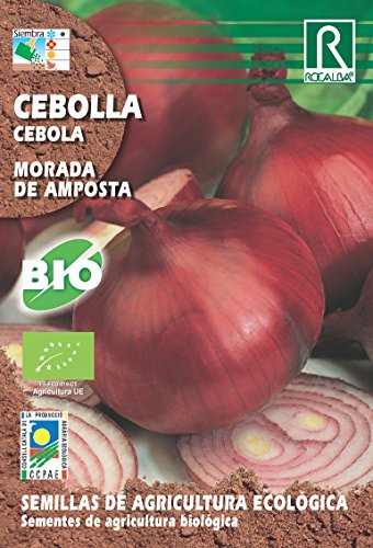 Semillas ECOLOGICAS Cebolla Morada