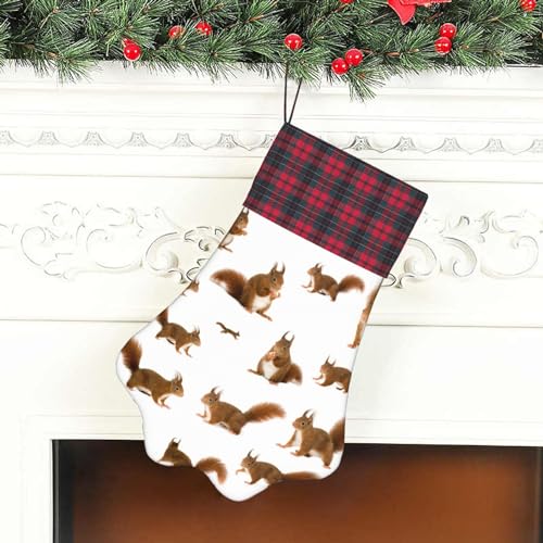 OKFSTY Niedlicher Eichhörnchen-Weihnachtsstrumpf mit Pfotenabdrücken, niedliches Haustier-Hängestrümpfe, Weihnachtsdekoration, Geschenk für Familie