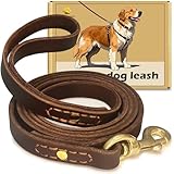 WERCHNPET Leather Dog...image