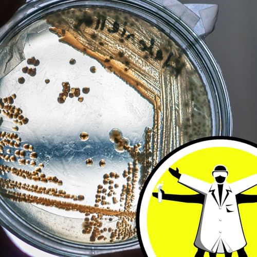 New ways to combat the Antibiotic Apocalypse