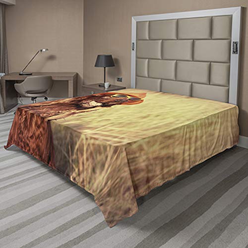 Ambesonne Animal Flat Sheet, Funny Retro Irish Setter Dog Wearing Hat and Sunglasses Humorous Joyful Picture, Soft and Comfortable Top Sheet Decorative Bedding 1 Piece, Full Size, Redbrown Tan