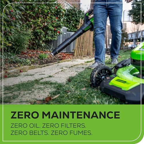 Image of Greenworks 60V (450 CFM / 140 MPH) Cordless Leaf Blower, Variable Speed & Turbo, Lightweight Handheld for Fall Leaf Removal, Yard, Patio, Driveway Outdoor Cleaning, 2.0Ah Battery and Rapid Charger