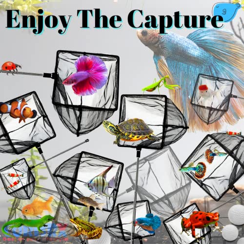 image for CORISRX Aquarium Betta Fish Net Protect Delicate Fin, Soft Fine Deep M