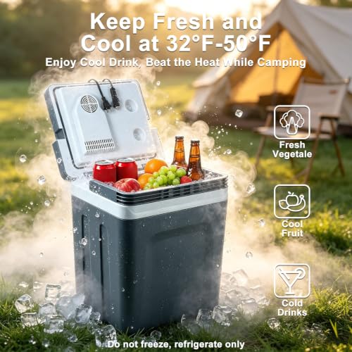TopAutoGear 25L Electric Cooler & Warmer