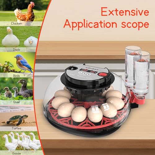 12 Egg Incubator for Hatching Eggs, Automatic Turner with Digital Temperature Humidity Control, 360° Clear View Lid, Auto Water Refill & Built-in Candler for Chicken Duck Quail Birds - Image 5