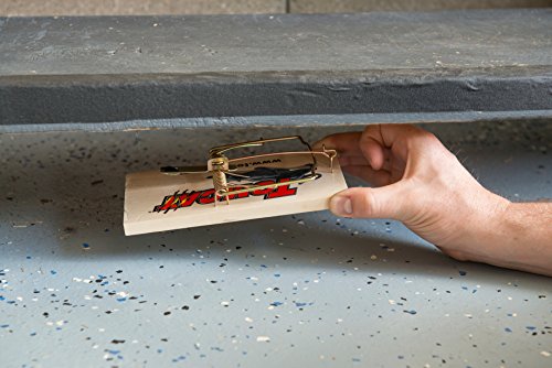 Image of Tomcat Rat Trap (Wooden), 1 Trap (Pack of 2)